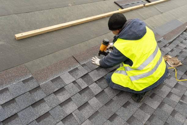 Best Roof Gutter Cleaning  in Hernando, MS