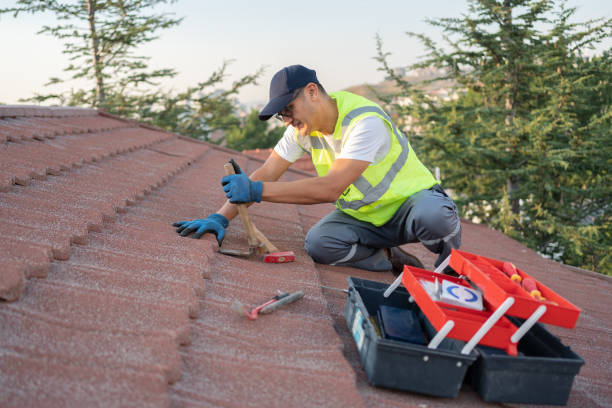 Best Roof Maintenance Services  in Hernando, MS